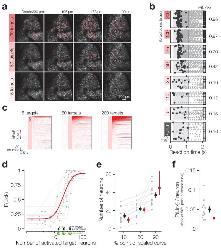 https://cdn.ncbi.nlm.nih.gov/pmc/blobs/cda7/7695456/0d293e939122/elife-58889-fig2.jpg