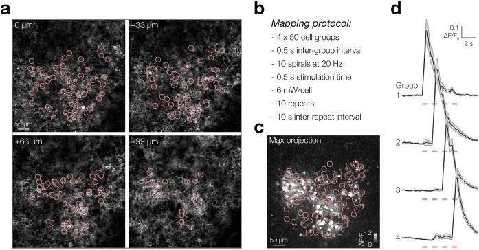 https://cdn.ncbi.nlm.nih.gov/pmc/blobs/cda7/7695456/2d6baf253a91/elife-58889-fig1-figsupp4.jpg