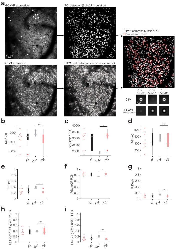 https://cdn.ncbi.nlm.nih.gov/pmc/blobs/cda7/7695456/b82b56082544/elife-58889-fig1-figsupp1.jpg