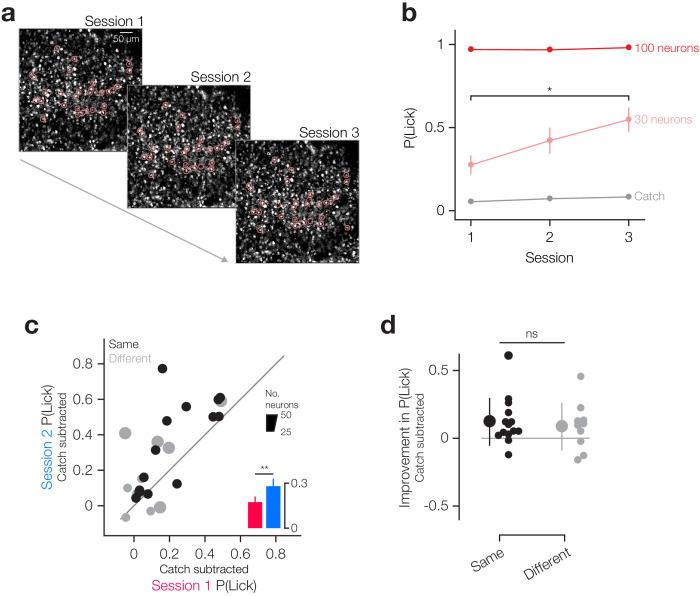 https://cdn.ncbi.nlm.nih.gov/pmc/blobs/cda7/7695456/de829376e869/elife-58889-fig2-figsupp3.jpg