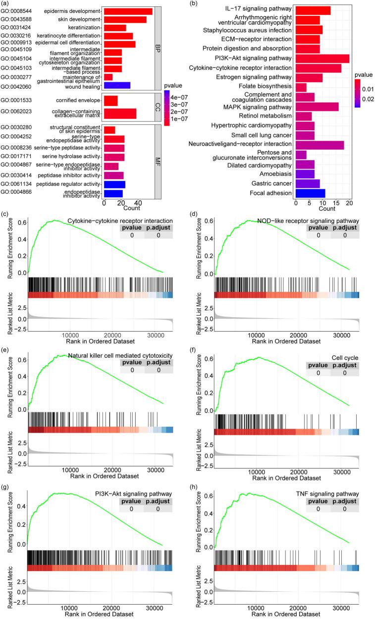 https://cdn.ncbi.nlm.nih.gov/pmc/blobs/cdb8/11317640/b550bc9fbdcb/j_med-2024-0974-fig003.jpg