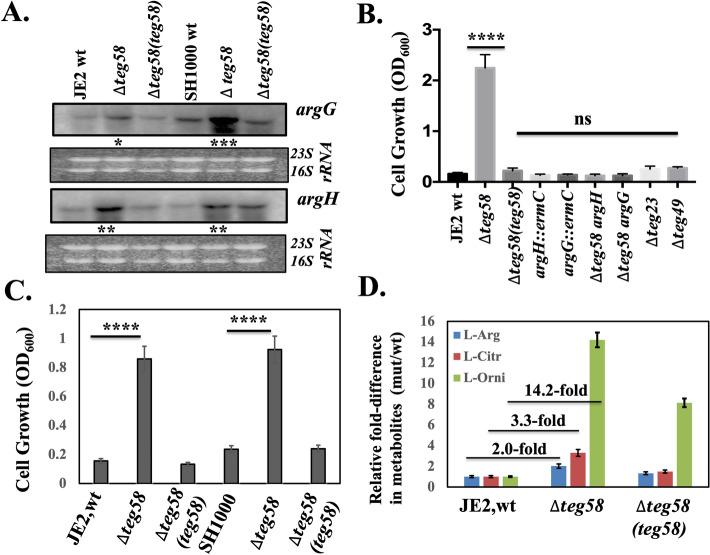 https://cdn.ncbi.nlm.nih.gov/pmc/blobs/cdc3/9440087/9de09096f8e7/41598_2022_18815_Fig4_HTML.jpg