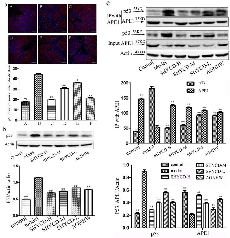 https://cdn.ncbi.nlm.nih.gov/pmc/blobs/cdd0/5689573/382711879df4/oncotarget-08-84782-g005.jpg