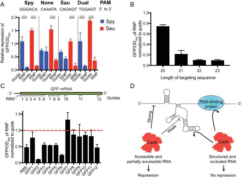 https://cdn.ncbi.nlm.nih.gov/pmc/blobs/cdd0/5796797/12a2f054ee3c/elife-32724-fig4.jpg