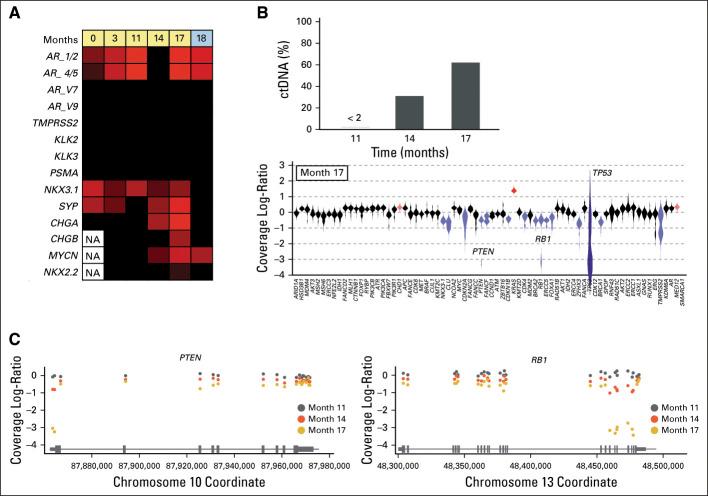 https://cdn.ncbi.nlm.nih.gov/pmc/blobs/cdd4/8425833/84f8ddfd5a7c/jco-39-2926-g006.jpg