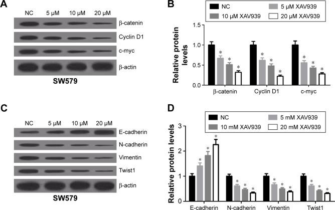 https://cdn.ncbi.nlm.nih.gov/pmc/blobs/cdd6/5359122/596276730ca6/ott-10-1549Fig4.jpg