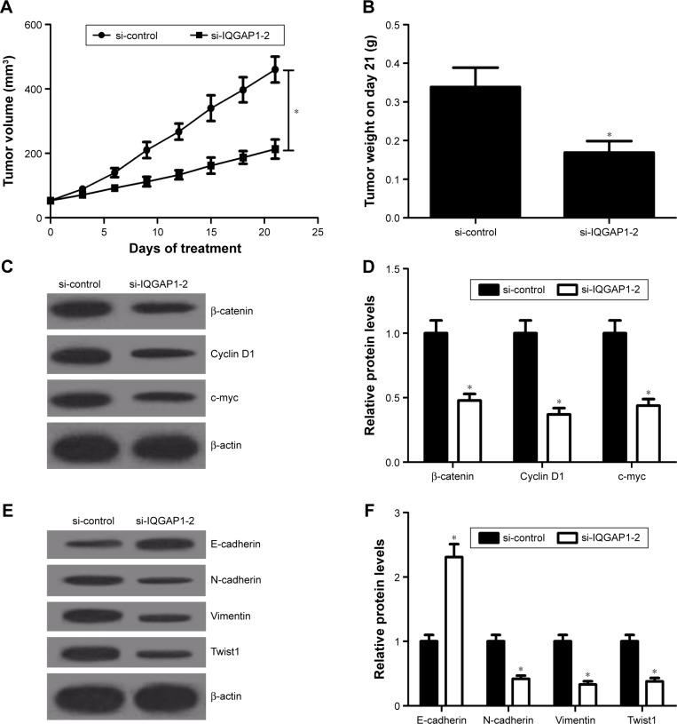 https://cdn.ncbi.nlm.nih.gov/pmc/blobs/cdd6/5359122/b938ec3b592c/ott-10-1549Fig6.jpg