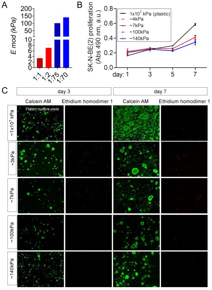 https://cdn.ncbi.nlm.nih.gov/pmc/blobs/cddc/10931015/53709773832c/cancers-16-01060-g001.jpg