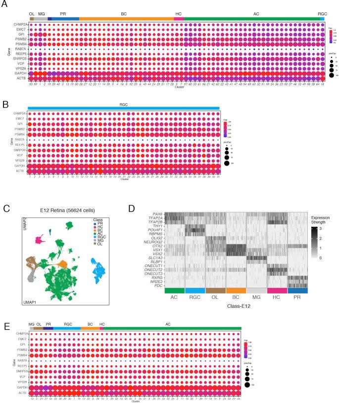 https://cdn.ncbi.nlm.nih.gov/pmc/blobs/cdf7/7837701/65afe0f2cfcd/elife-63907-fig1-figsupp1.jpg