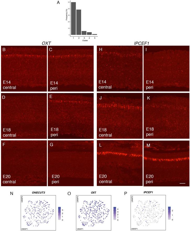 https://cdn.ncbi.nlm.nih.gov/pmc/blobs/cdf7/7837701/b35be0fd7c56/elife-63907-fig4-figsupp1.jpg
