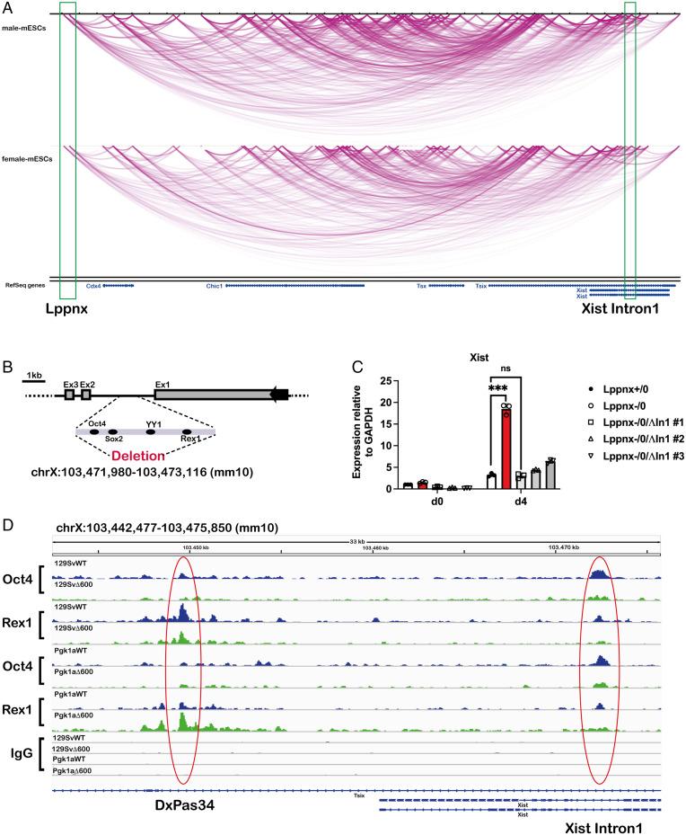 https://cdn.ncbi.nlm.nih.gov/pmc/blobs/cdfd/9282422/2ab85e7b1563/pnas.2118182119fig05.jpg
