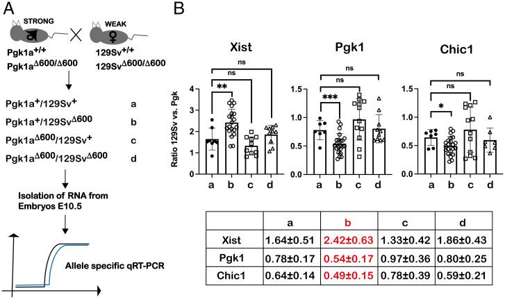 https://cdn.ncbi.nlm.nih.gov/pmc/blobs/cdfd/9282422/7d092c1d2fd3/pnas.2118182119fig04.jpg