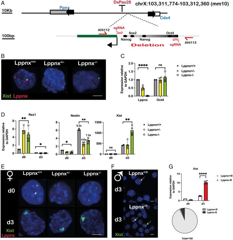 https://cdn.ncbi.nlm.nih.gov/pmc/blobs/cdfd/9282422/852650b7d7bf/pnas.2118182119fig02.jpg