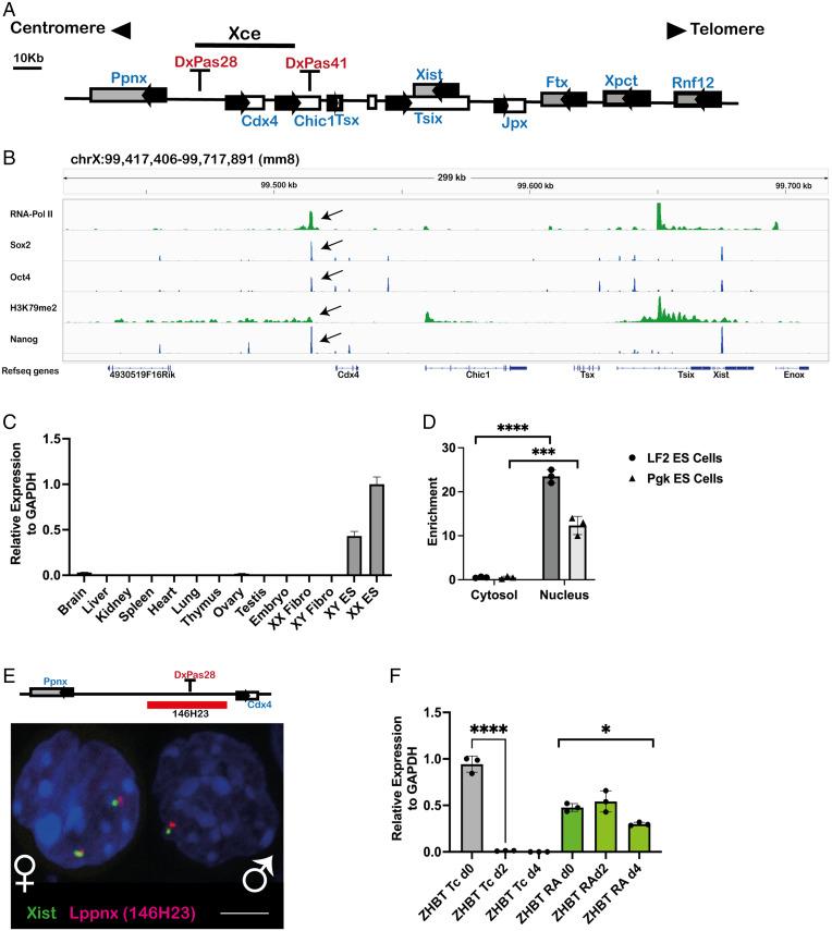 https://cdn.ncbi.nlm.nih.gov/pmc/blobs/cdfd/9282422/a253444f5a21/pnas.2118182119fig01.jpg