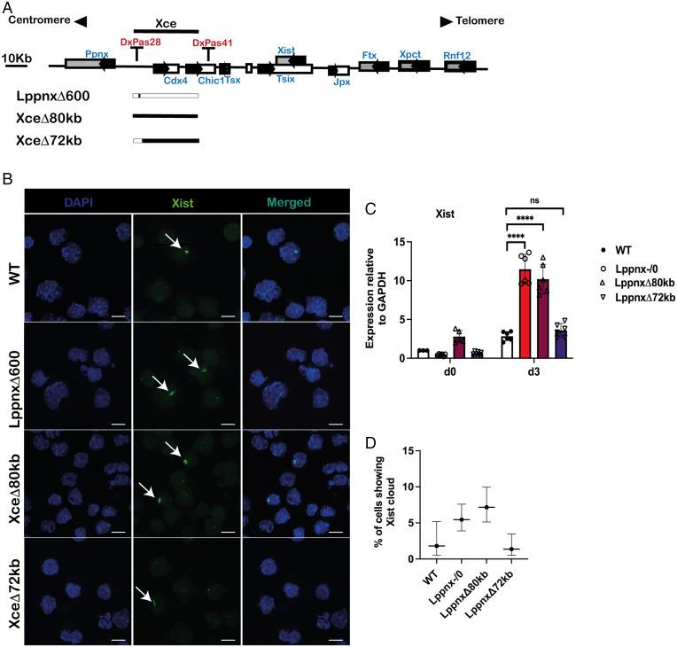 https://cdn.ncbi.nlm.nih.gov/pmc/blobs/cdfd/9282422/cfb012993800/pnas.2118182119fig03.jpg