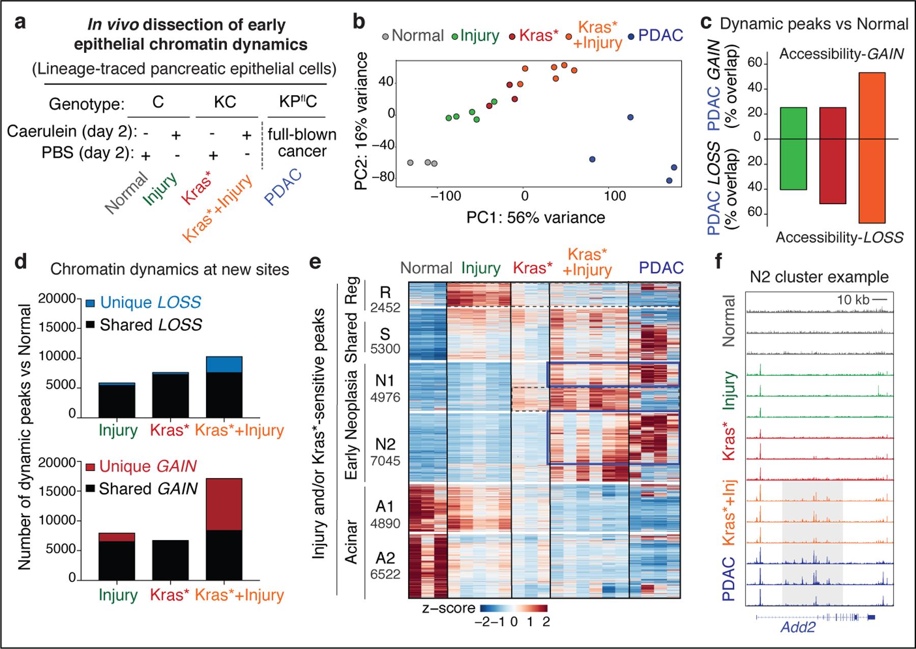 https://cdn.ncbi.nlm.nih.gov/pmc/blobs/ce11/8482641/98651782e79e/nihms-1656410-f0001.jpg