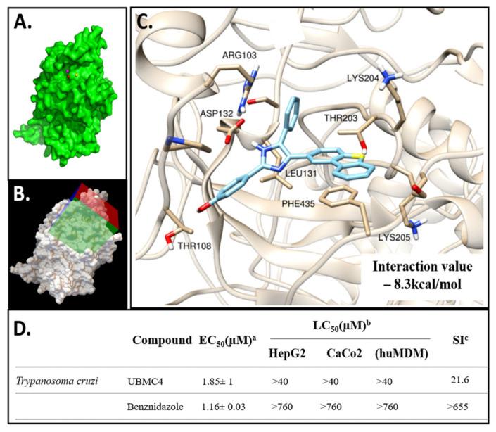 https://cdn.ncbi.nlm.nih.gov/pmc/blobs/ce19/9229894/d9bb385276aa/pathogens-11-00616-g001.jpg