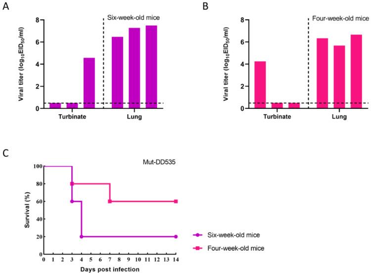 https://cdn.ncbi.nlm.nih.gov/pmc/blobs/ce1a/10976067/753e457c89e6/viruses-16-00357-g003.jpg