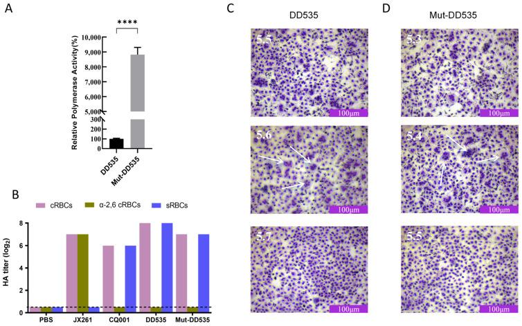 https://cdn.ncbi.nlm.nih.gov/pmc/blobs/ce1a/10976067/e830b0b00684/viruses-16-00357-g005.jpg
