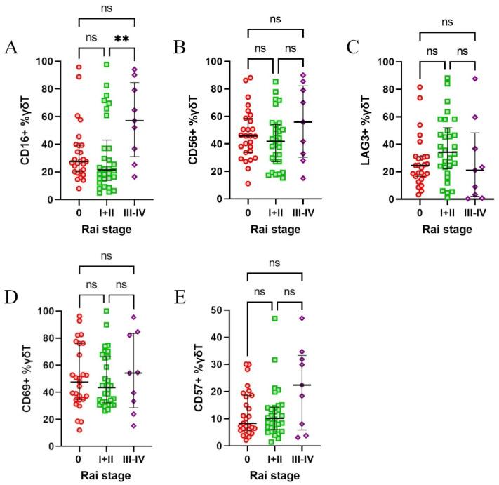 https://cdn.ncbi.nlm.nih.gov/pmc/blobs/ce1f/11941621/6c61a4746d1b/cells-14-00451-g004.jpg