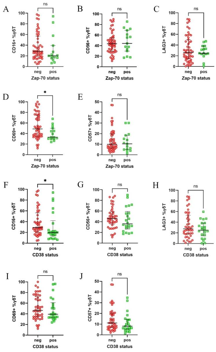 https://cdn.ncbi.nlm.nih.gov/pmc/blobs/ce1f/11941621/f09cabd39706/cells-14-00451-g003.jpg