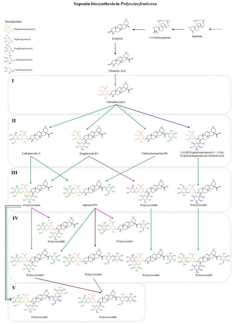 https://cdn.ncbi.nlm.nih.gov/pmc/blobs/ce50/12430459/88ca234cf1b0/molecules-30-03460-g003.jpg