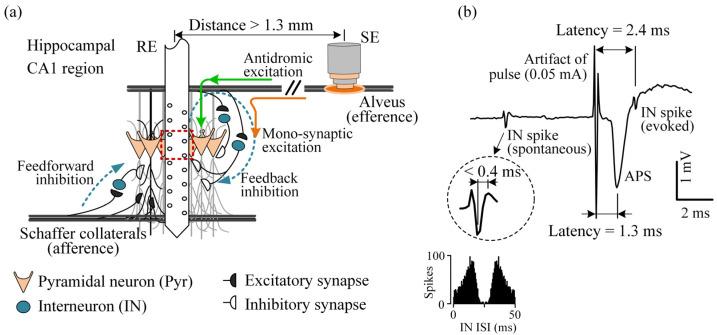 https://cdn.ncbi.nlm.nih.gov/pmc/blobs/ce5b/9599906/154b22d72419/brainsci-12-01350-g001.jpg