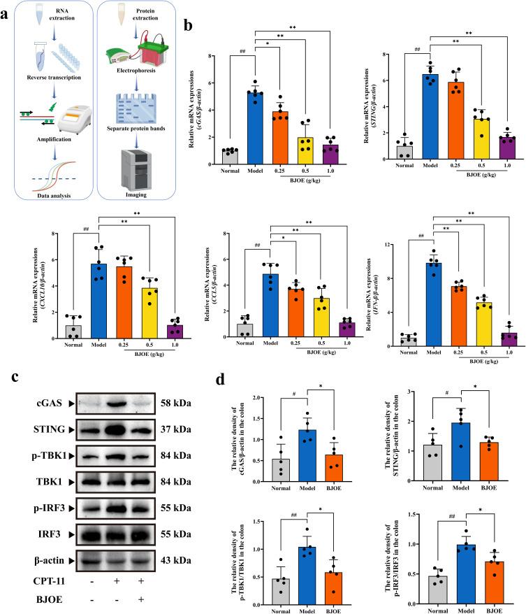 https://cdn.ncbi.nlm.nih.gov/pmc/blobs/ce60/12205714/00a182b563b9/DDDT-19-5329-g0005.jpg