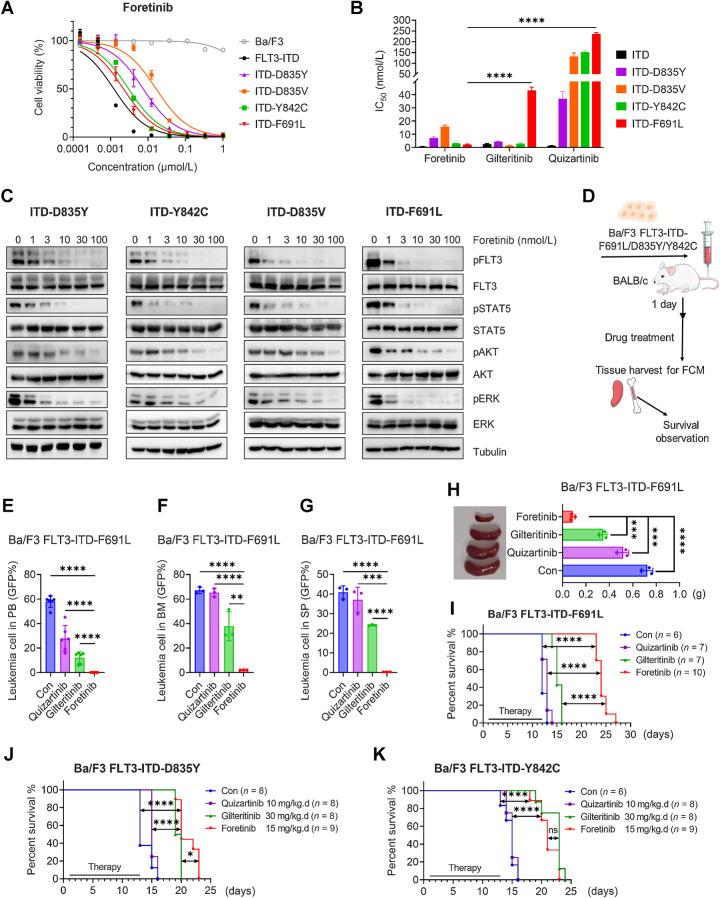 https://cdn.ncbi.nlm.nih.gov/pmc/blobs/ce62/10940854/b922e0756d32/905fig4.jpg