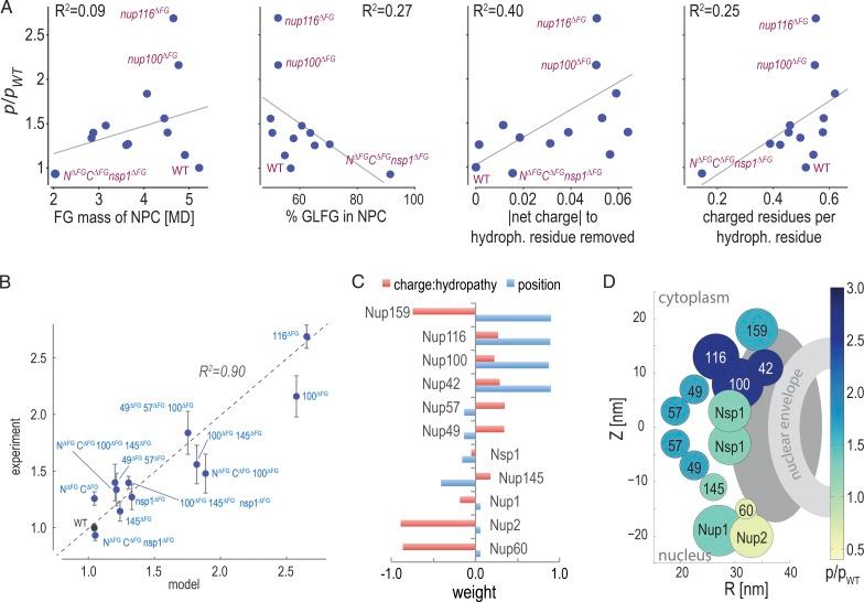 https://cdn.ncbi.nlm.nih.gov/pmc/blobs/ce66/5057280/03aafc2099e5/JCB_201601004_Fig7.jpg