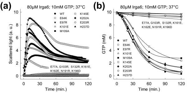 https://cdn.ncbi.nlm.nih.gov/pmc/blobs/ce80/3042988/227b1c04ddf3/1741-7007-9-7-2.jpg