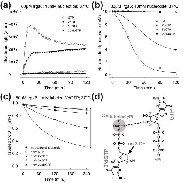 https://cdn.ncbi.nlm.nih.gov/pmc/blobs/ce80/3042988/e9a89963b8e9/1741-7007-9-7-7.jpg