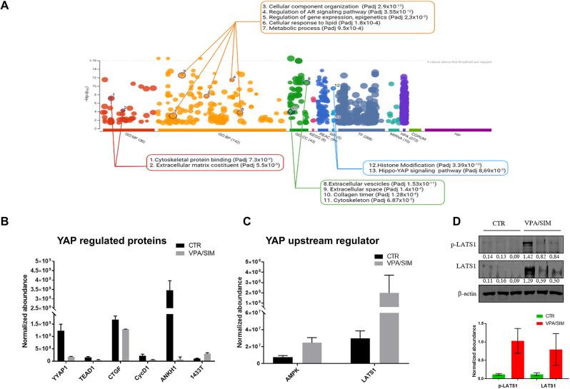 https://cdn.ncbi.nlm.nih.gov/pmc/blobs/ce81/11569608/621c2e50479f/12935_2024_3573_Fig2_HTML.jpg