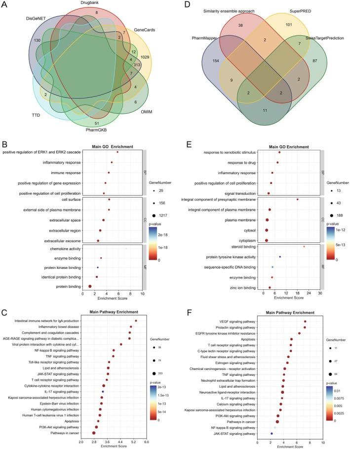 https://cdn.ncbi.nlm.nih.gov/pmc/blobs/ceb1/12105495/2c112c39196b/JCMM-29-e70615-g005.jpg