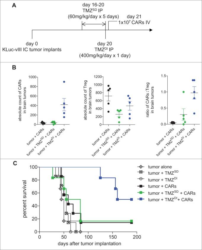 https://cdn.ncbi.nlm.nih.gov/pmc/blobs/cebe/5980382/4c7113f775ba/koni-07-06-1434464-g004.jpg