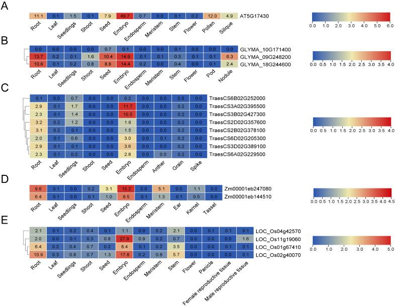 https://cdn.ncbi.nlm.nih.gov/pmc/blobs/cedd/11675363/5033a2fc5678/genes-15-01614-g008.jpg