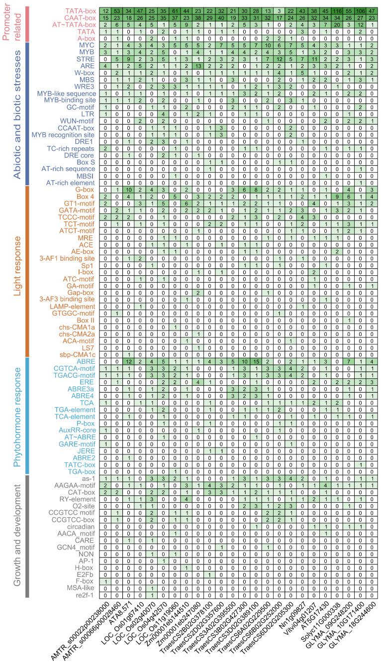 https://cdn.ncbi.nlm.nih.gov/pmc/blobs/cedd/11675363/517e0477a616/genes-15-01614-g003.jpg