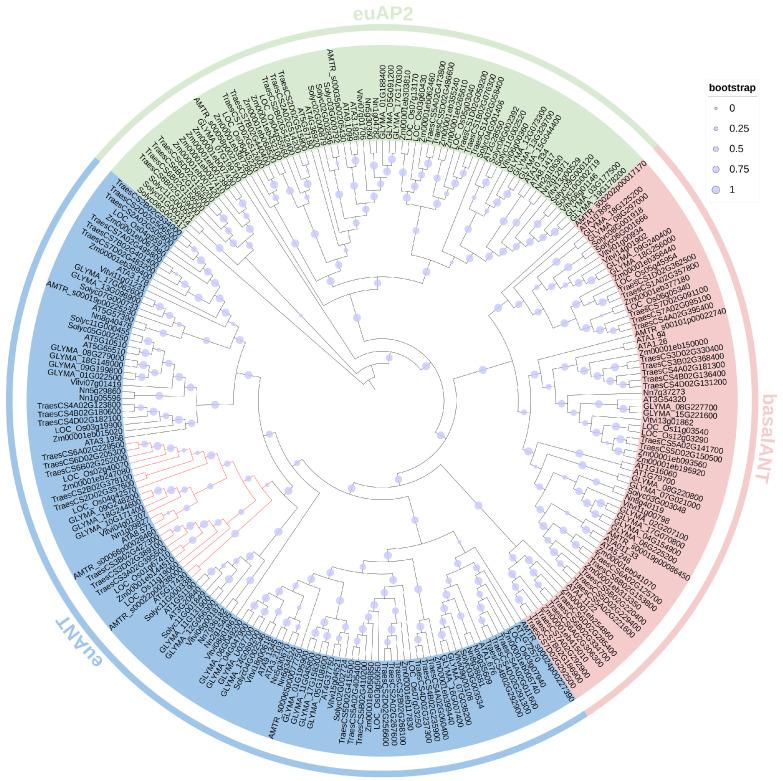 https://cdn.ncbi.nlm.nih.gov/pmc/blobs/cedd/11675363/6536b518eacc/genes-15-01614-g001.jpg