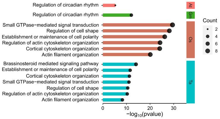 https://cdn.ncbi.nlm.nih.gov/pmc/blobs/cedd/11675363/f96159633dc6/genes-15-01614-g006.jpg
