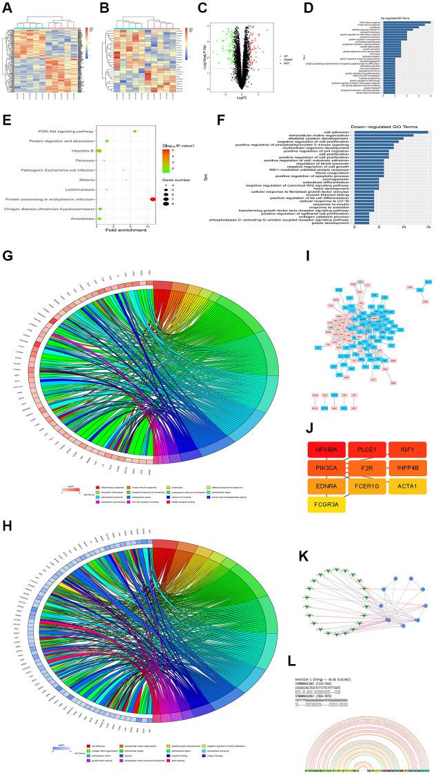 https://cdn.ncbi.nlm.nih.gov/pmc/blobs/cee1/9467416/3606da6ce93c/aging-14-204256-g003.jpg