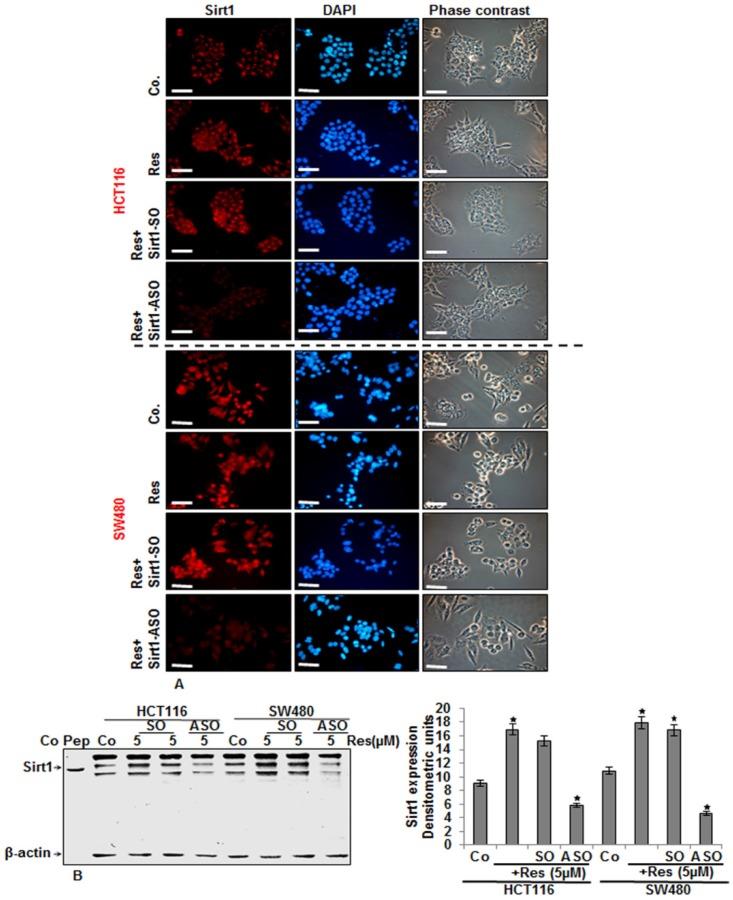 https://cdn.ncbi.nlm.nih.gov/pmc/blobs/cee7/4808874/81857c72c1b3/nutrients-08-00145-g005.jpg