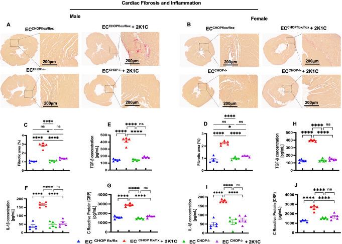 https://cdn.ncbi.nlm.nih.gov/pmc/blobs/ceeb/12165939/779d3aae07cf/18_2025_5741_Fig4_HTML.jpg