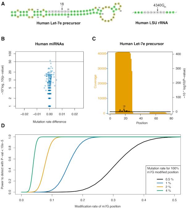 https://cdn.ncbi.nlm.nih.gov/pmc/blobs/cefb/6847341/cea472479e15/gkz736fig4.jpg