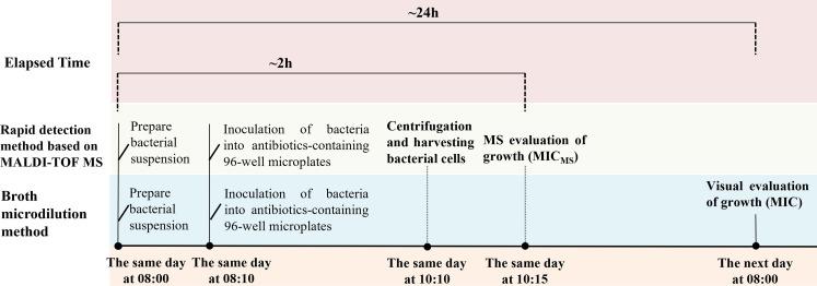 https://cdn.ncbi.nlm.nih.gov/pmc/blobs/cf00/11705933/d04662001b93/spectrum.01346-24.f006.jpg