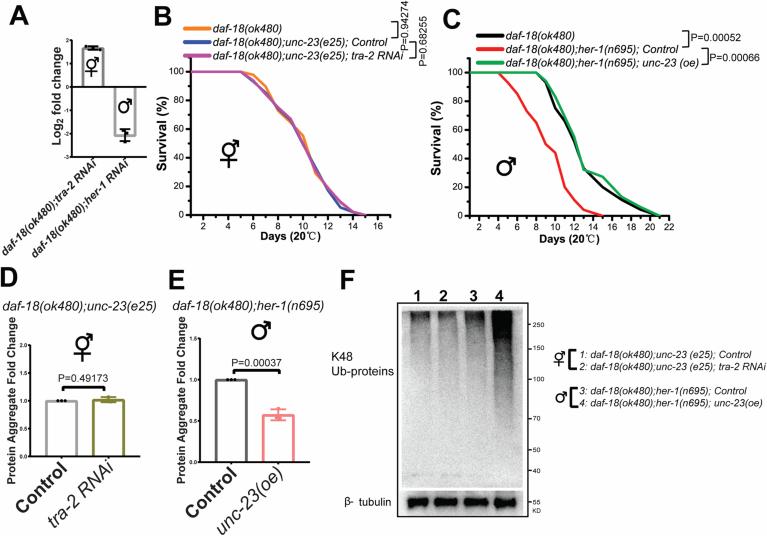 https://cdn.ncbi.nlm.nih.gov/pmc/blobs/cf19/11850635/93647ec46ba4/44319_2025_368_Fig15_ESM.jpg