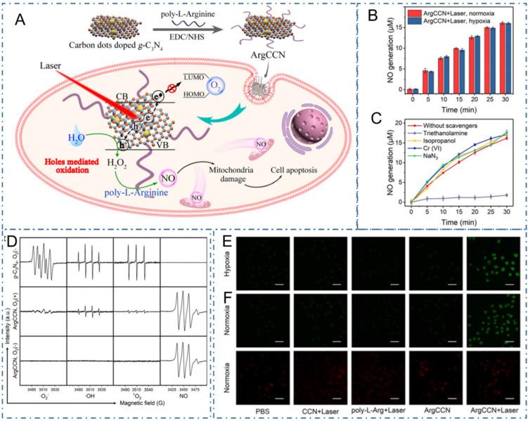 https://cdn.ncbi.nlm.nih.gov/pmc/blobs/cf2d/8965501/f080ac76096e/thnov12p2860g018.jpg