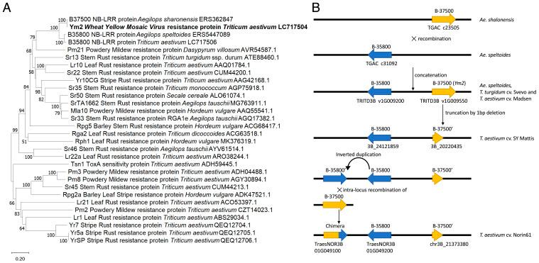 https://cdn.ncbi.nlm.nih.gov/pmc/blobs/cf37/10089197/30ba3ff2e8dc/pnas.2214968120fig04.jpg
