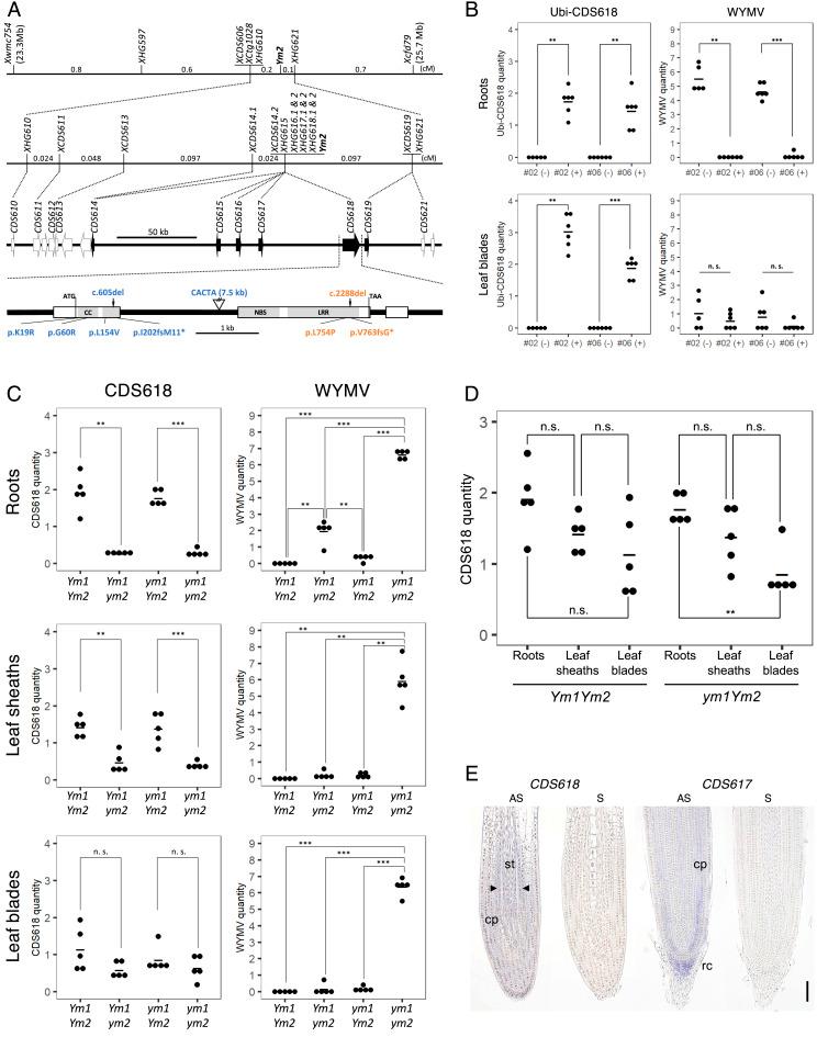 https://cdn.ncbi.nlm.nih.gov/pmc/blobs/cf37/10089197/e128b7561585/pnas.2214968120fig02.jpg