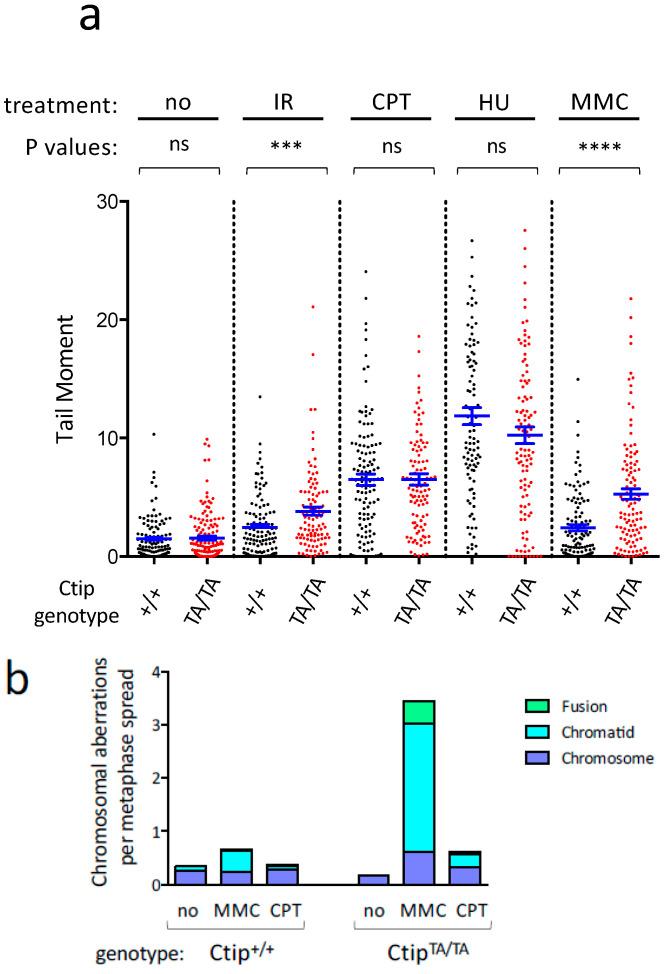 https://cdn.ncbi.nlm.nih.gov/pmc/blobs/cf53/10706839/5629f247ad54/cells-12-02762-g002a.jpg