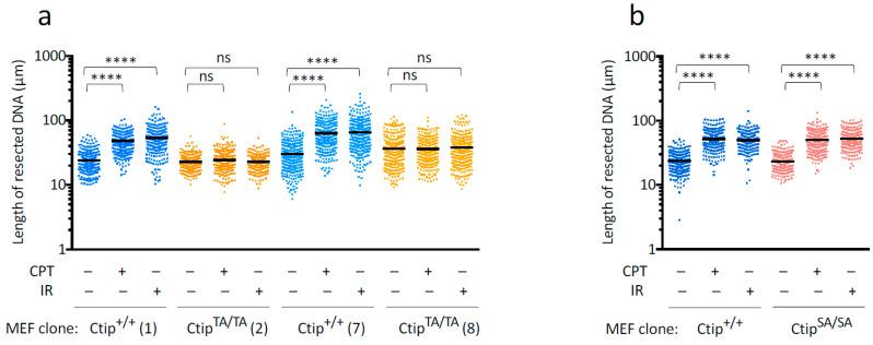 https://cdn.ncbi.nlm.nih.gov/pmc/blobs/cf53/10706839/e7952ddb375b/cells-12-02762-g005.jpg